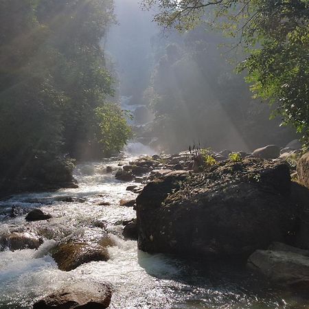 Kenyir Eco Resort Kuala Berang Eksteriør bilde