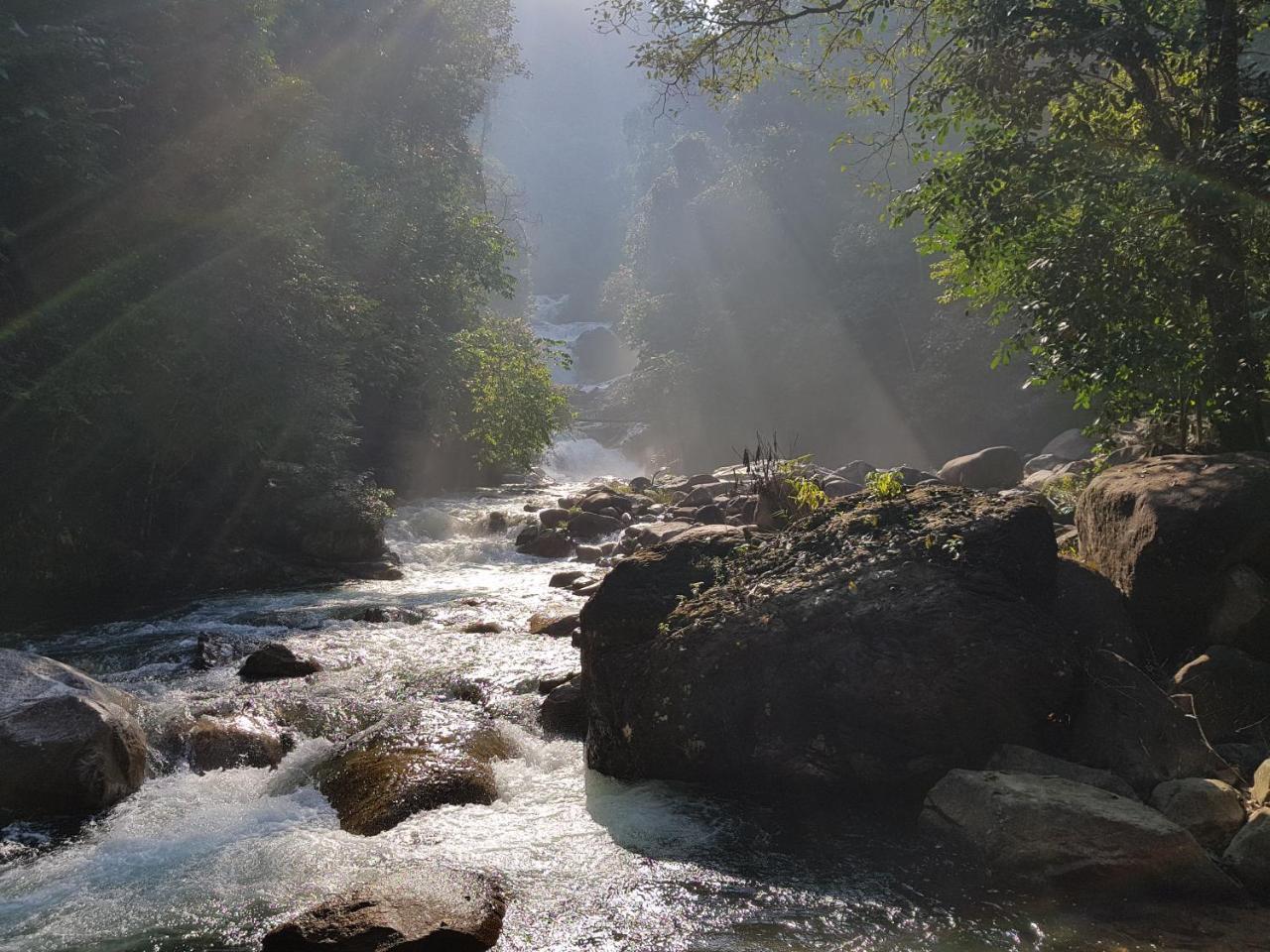 Kenyir Eco Resort Kuala Berang Eksteriør bilde